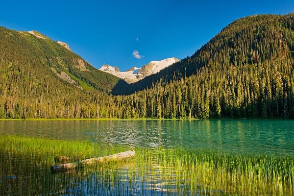 Canada-British Columbia-Joffre Lakes Provincial Park-Lower Joffre Lake landscape